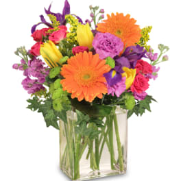 Bright mixed bouquet with orange gerberas, yellow tulips, and purple blooms in a clear square vase