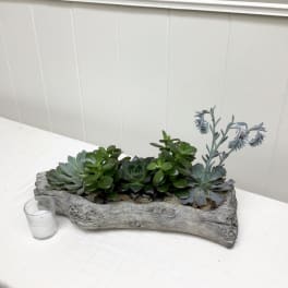 Succulent arrangement in a rustic wood planter with a small glass votive