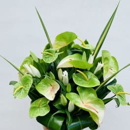 #158 Green Anthurium Mix Arrangement with stargazer lilies