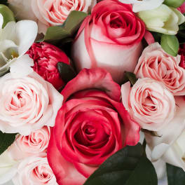 Close-up bouquet of pink and white roses with red blooms