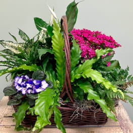 Mixed potted plants and flowers in a wicker basket