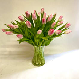 Pink tulips arranged in a clear glass vase