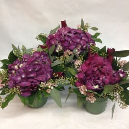 Three purple hydrangea arrangements in green containers