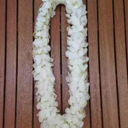 White flower lei arranged in a loop on a wooden surface