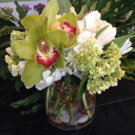 Green and white orchid arrangement in a glass vase