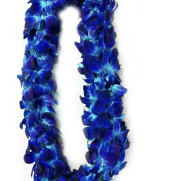 Blue flower lei necklace on a white background