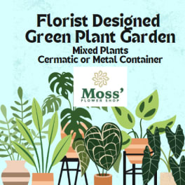 Illustration of assorted potted green plants with a florist logo and text