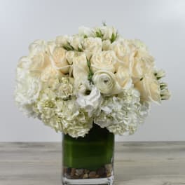 White rose and hydrangea arrangement in a square glass vase