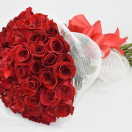 Large bouquet of red roses wrapped in white mesh with a big red bow.