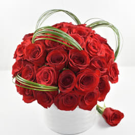 Compact arrangement of red roses in a white vase with looping green blades of grass.