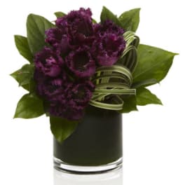 Purple carnations in a dark glass vase with green leaves