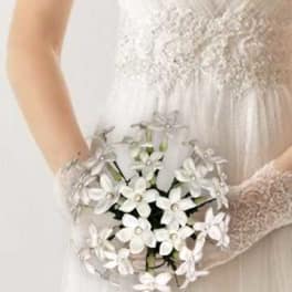 Bride holding a small white flower bouquet