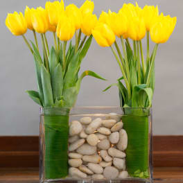 Yellow tulips in a clear rectangular vase with white stones