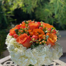 Orange roses and white hydrangeas in a clear glass vase