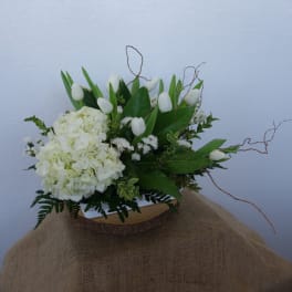 White floral arrangement with tulips and hydrangeas in a low container