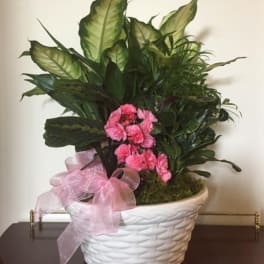 Pink flowers in a white woven basket planter with a pink ribbon