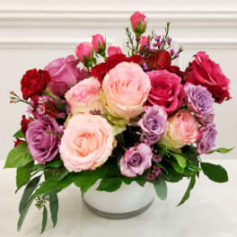 Mixed pink, lavender, and red roses arranged in a white vase