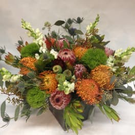 Mixed bouquet with orange pincushion protea and green accents in a dark container