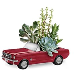Succulent arrangement in a red toy pickup truck planter