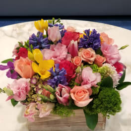 Garden Box