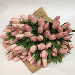 Large bouquet of pale pink tulips wrapped in burlap