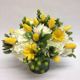 Yellow tulips and white flowers in a dark glass vase