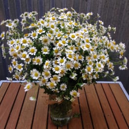 Loose bouquet of small white and yellow daisies arranged in a clear glass jar on a wooden table