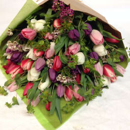 Bouquet of pink, purple, and white tulips wrapped in paper