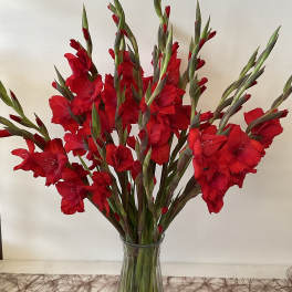 Red gladiolus stems arranged in a clear glass vase
