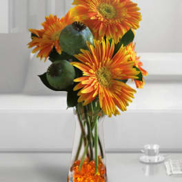 Orange gerbera daisies in a clear square vase with orange beads