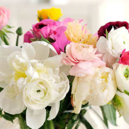 Close-up bouquet of white, pink, and yellow flowers