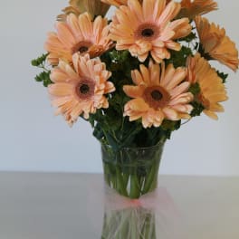 Peach gerbera daisies in a clear glass vase with a pink tulle bow
