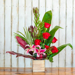 Modern Love Tropical Mix