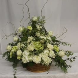 White rose and hydrangea arrangement in a low basket with curly branches