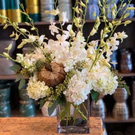 White orchid and hydrangea arrangement in a clear square vase with a small pumpkin accent
