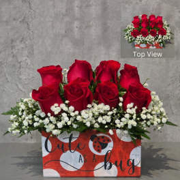 Red roses arranged in a decorated box with white baby's breath