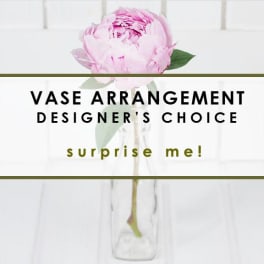 DESIGNER'S CHOICE - IN VASE - SURPRISE ME