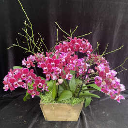 Pink orchid arrangement in a wooden planter with green accents