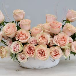 Arrangement of pale pink roses in a white bowl vase