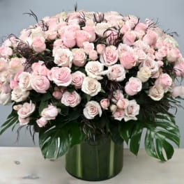 Large dome of pale pink and ivory roses in a green glass cylinder vase with glossy tropical leaves.