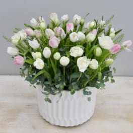 White and pale pink tulips in a round white textured ceramic pot