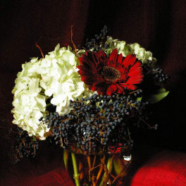 White hydrangeas and a red gerbera daisy in a glass vase