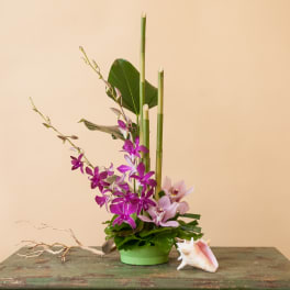 Purple orchids in a green container with tall bamboo stems and a shell accent