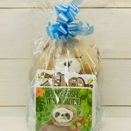 Stuffed animal and sloth-themed children’s book wrapped in clear cellophane with a blue ribbon bow