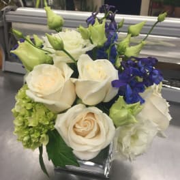 Cream roses and blue flowers arranged in a square glass vase