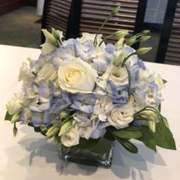White roses and pale blue hydrangeas in a square glass vase