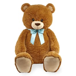 Brown teddy bear with a light blue ribbon bow