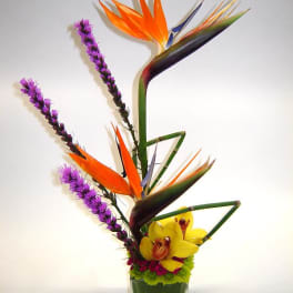 Tropical flower arrangement in a clear glass vase with orange bird of paradise and yellow orchids
