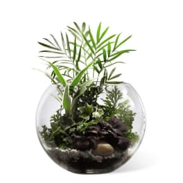 The FTD Woodland Greens Terrarium