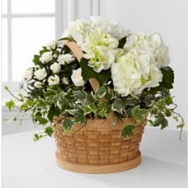 Whispers of Peace Sympathy Basket